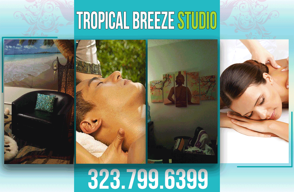 Tropical-Breeze-Studio-Online-Ad---Top